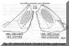 FIG. 32 - Desired Tooth Contact Under Light Load